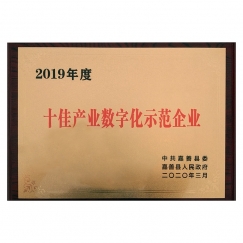 十佳產業數字化示范企業